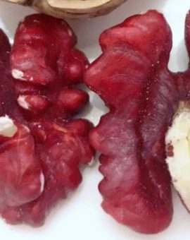 Quả óc chó đỏ